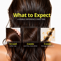 Daily Hair Repair Duo – Buy 1 Get 1 Free (2 Shampoos + 2 Conditioners)